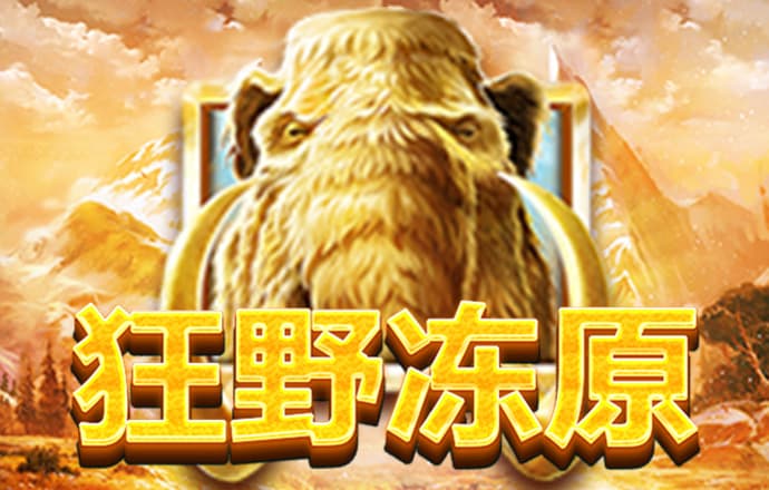 特朗普币实时价格